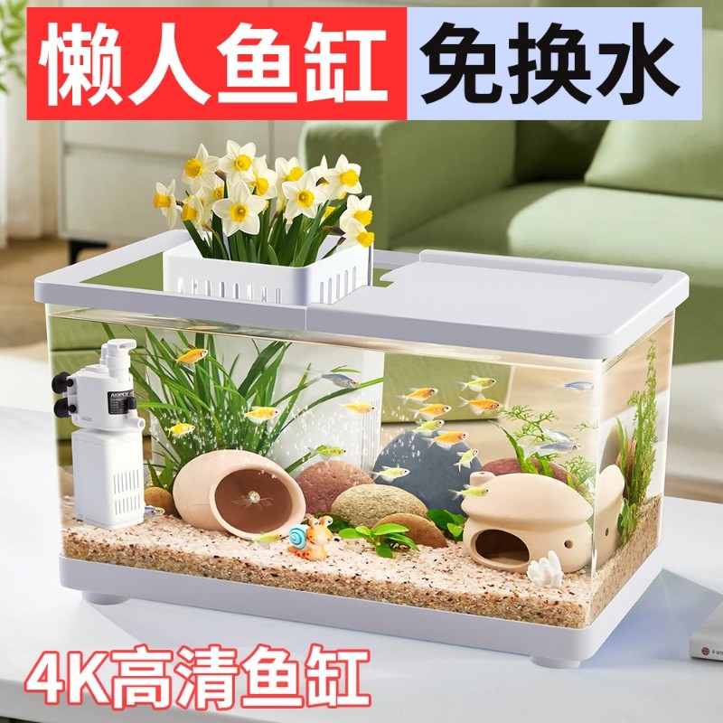 小鱼缸氧气泵过滤器一体客厅2025新款生态造景桌面创意缸免换水