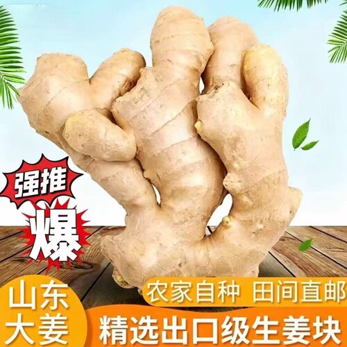 山东大姜新鲜应季正宗风干姜生姜老姜大黄姜月子姜批发自种食用