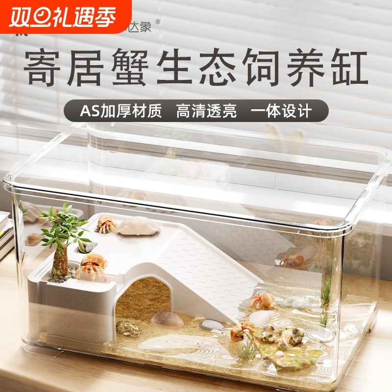 寄居蟹饲养箱套装小型桌面带爬台躲避屋相守螃蟹小宠物乌龟饲养缸
