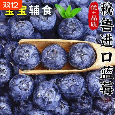 云南花香蓝莓鲜果当季孕妇蓝莓高山L25花香新鲜水果现摘顺丰空运
