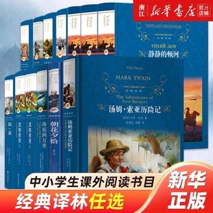 经典傅雷家书四世同堂安徒生绿山墙的安妮鲁滨逊记骆驼祥子悲惨世界海底两万里中小学生阅读漂流昆虫记简爱牛虻小说短篇双城记童话