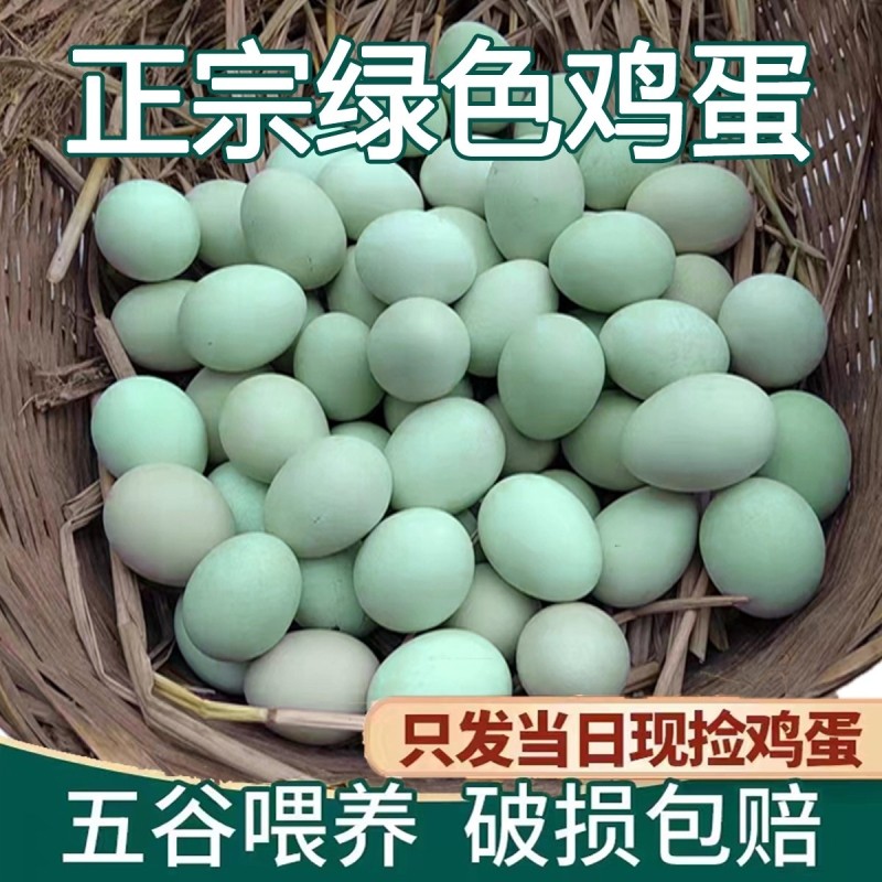 【助农】生态散养新鲜农家绿壳乌鸡蛋正宗土鸡蛋笨鸡蛋新鲜现捡,水产肉类/新鲜蔬果/熟食,鸡蛋,淘宝优惠券,粉丝福利购,淘宝优惠卷