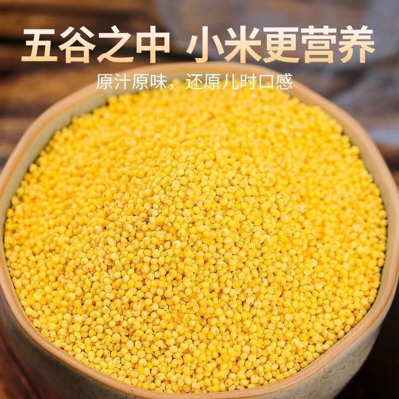 农家小米黄小米农家精选新米优质粥五谷杂粮大黄米粥早餐粮食