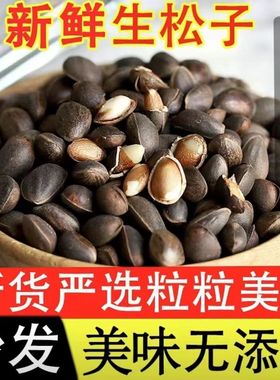 云南新鲜生松子原味大颗粒手剥松仁零食坚果2025新货松树籽非东北