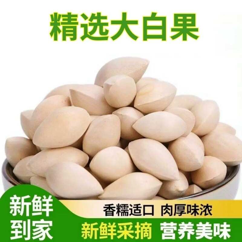 精选带壳白果干 无硫新货生银杏果 煲汤做菜食材中药材正品批发