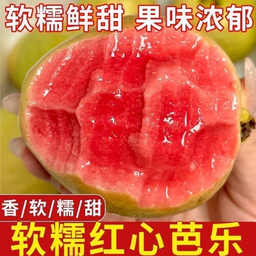 红心芭乐番石榴软糯软心新鲜应季孕妇低糖类水果直发
