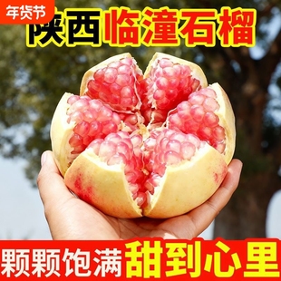 正宗陕西临潼突尼斯软籽石榴新鲜当季水果5斤大果整箱甜石榴包邮9