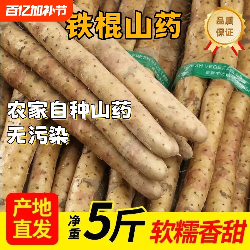 正宗现挖整箱铁棍山药新鲜蔬菜即食垆土5斤农家自种怀山药长山药