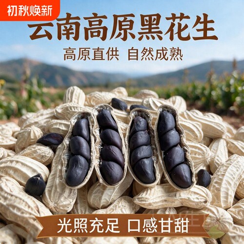 云南黑花生带壳黑皮花生农家自晒花生新货生吃紫皮花生黑花生富硒
