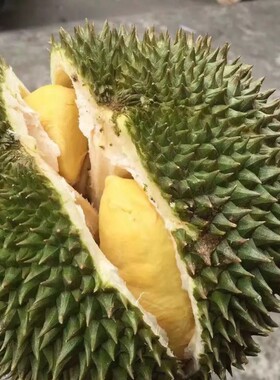 泰国进口金枕头榴莲鲜果树熟榴莲新鲜当季水果一整个带壳