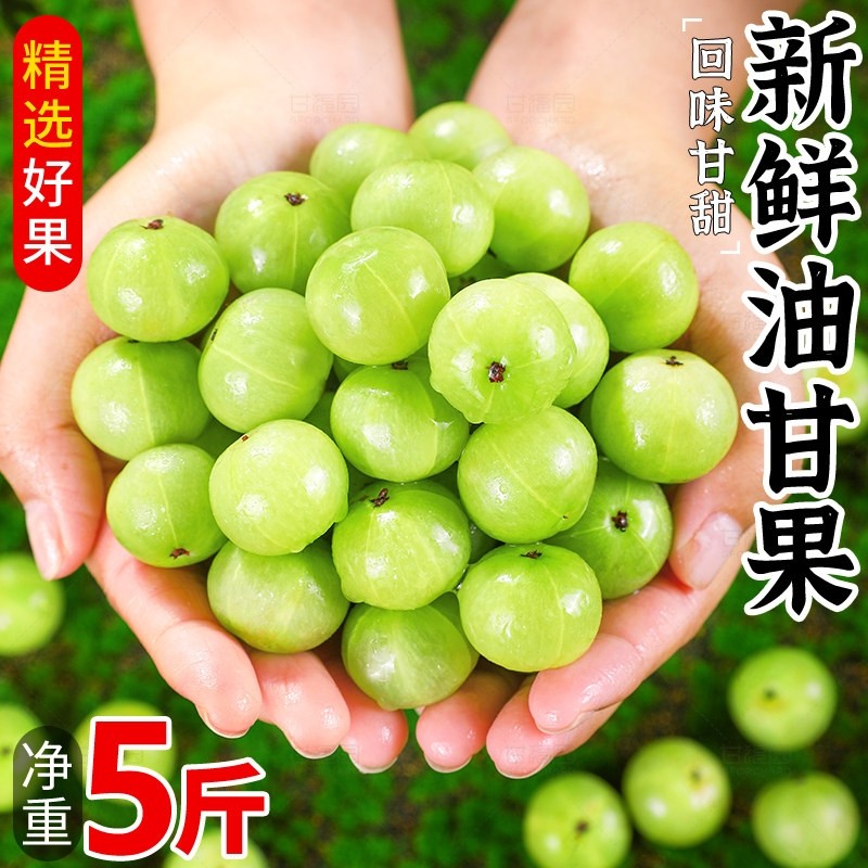 潮汕普宁崩坎甜油柑新鲜油甘果牛甘果余甘果滇橄榄甜种甜油甘包邮 - 封面