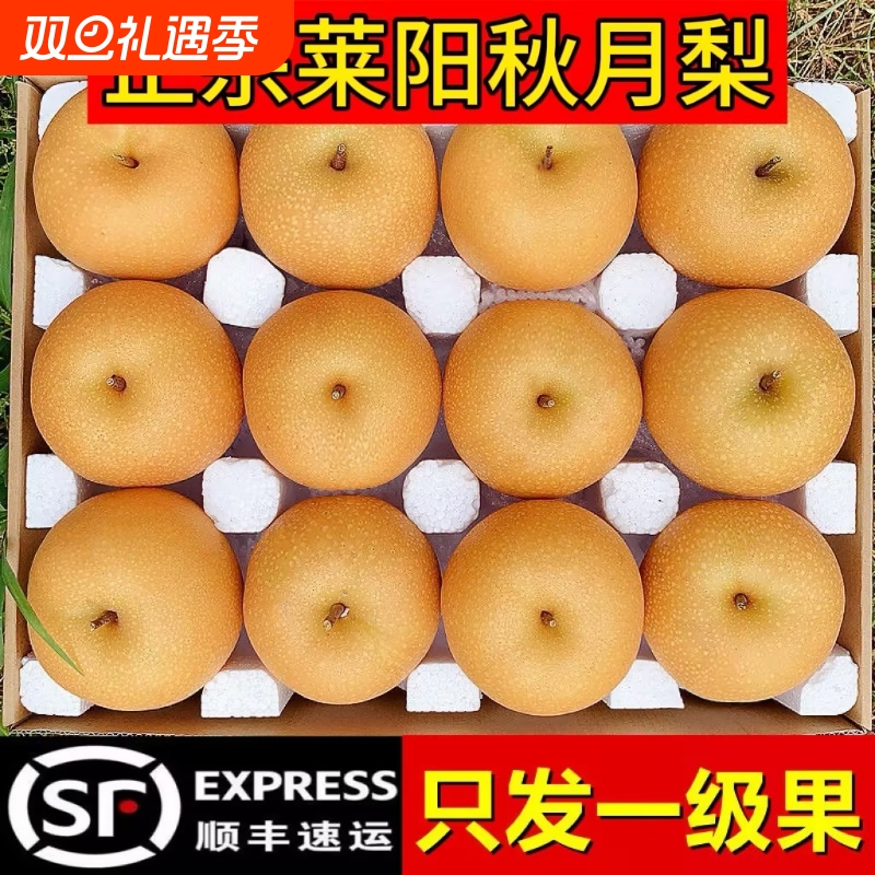 秋月梨正宗山东莱阳大果新鲜水果当季整箱脆甜新鲜梨礼盒鲜榨果汁