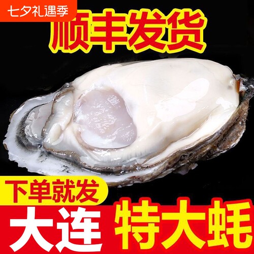 大连生蚝非乳山生蚝鲜活新鲜特大带箱海蛎子海鲜牡蛎水产