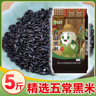 【正宗】东北五常黑米5斤自然米香米粒黑亮一年一季当季新米软糯