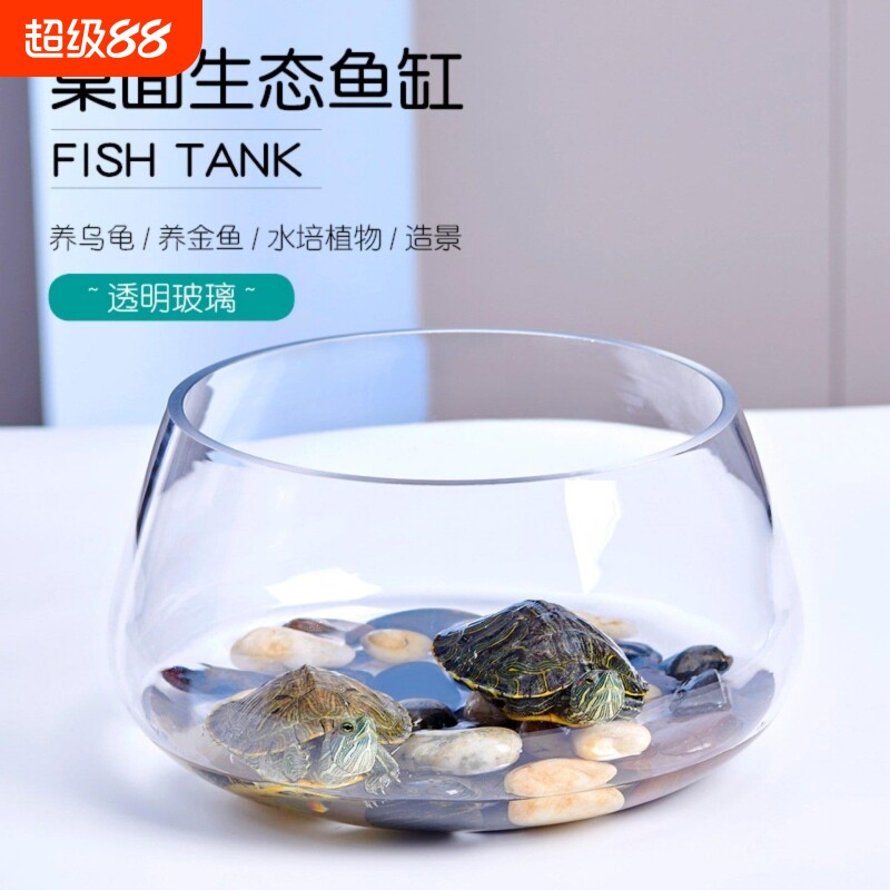 鱼缸玻璃圆形黄金葛水培家用透明小型迷你桌面乌龟龟缸生态办公室
