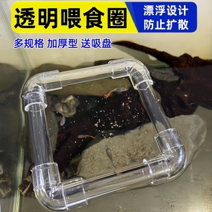 鱼缸悬浮喂食圈亚克力透明漂浮喂食器投食管乌龟缸浮萍阻拦防飘散