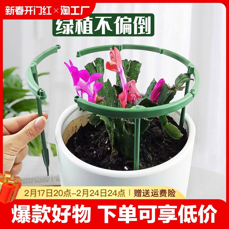 植物支撑杆园艺支架花架爬藤支架室内阳台户外绿萝蟹爪兰固定支架,3C数码配件,手机保护套/壳,淘宝优惠券,粉丝福利购,淘宝优惠卷