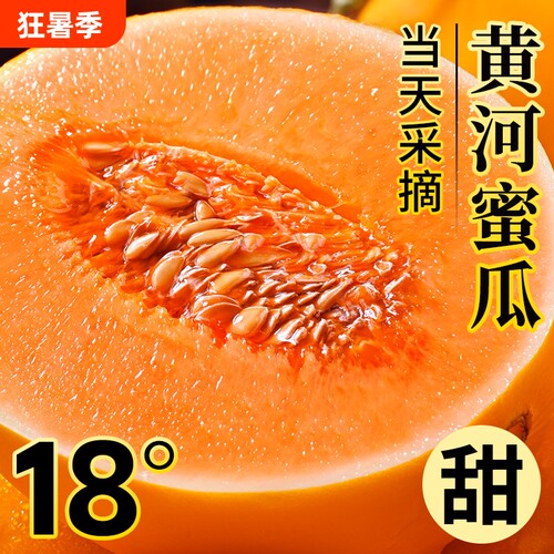 正宗沙漠黄河蜜瓜，大果脆甜多汁