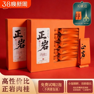 送礼正岩肉桂茶鬼级花果香武夷岩茶大红袍独立包装礼盒手提袋茶叶