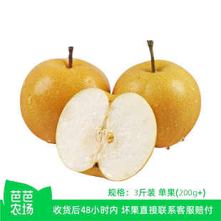 秋月梨3斤单果200g 芭芭农场兑换