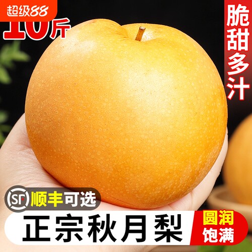 秋月梨新鲜水果5斤脆甜多汁当季