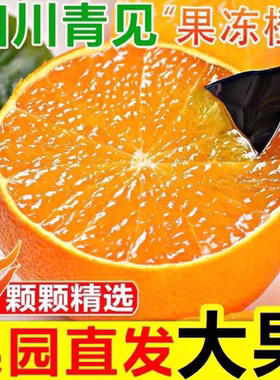 四川正宗青见果冻橙新鲜柑橘手剥橙应季水果孕妇橙子桔子鲜果大果