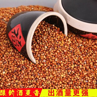 带皮红高梁新鲜红高粱米带皮高粱酿酒喂鸽子饲料杂粮