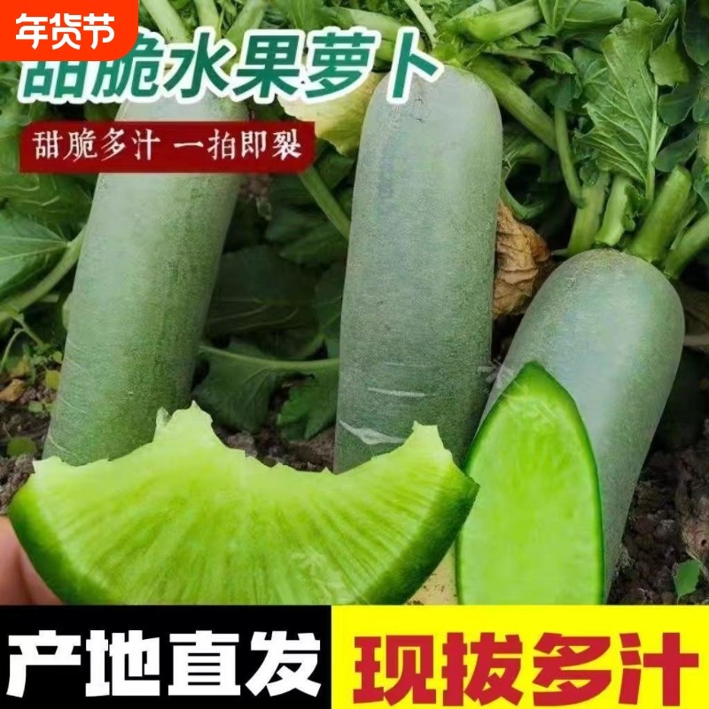 正宗水果萝卜甜脆水果型萝卜青萝卜新鲜生吃脆甜即食农家蔬菜整箱,水产肉类/新鲜蔬果/熟食,萝卜/胡萝卜,淘宝优惠券,粉丝福利购,淘宝优惠卷