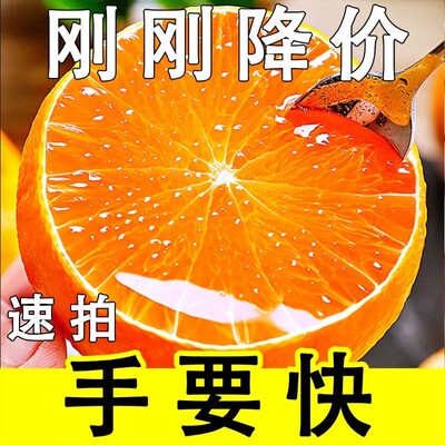 现摘果冻橙新鲜水果可以吸