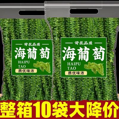 绿色鱼子酱盐渍海葡萄新鲜即食