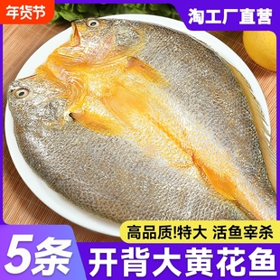 bq黄鱼鲞开背新鲜冷冻黄花鱼三免大黄鱼生鲜小黄鱼烧烤商用半成品