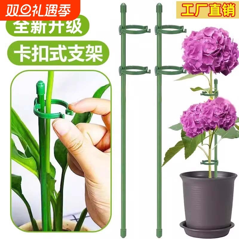 龟背竹护叶架固定器花架花支撑