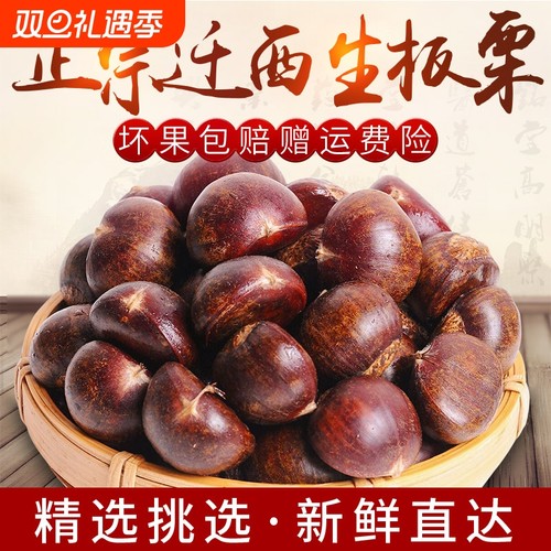 真迁西板栗，产地直发