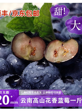 云南高原海拔1800米花香蓝莓