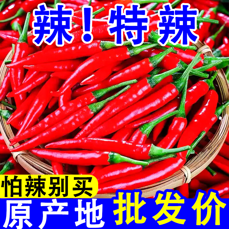 云南高山小米辣椒特香特辣