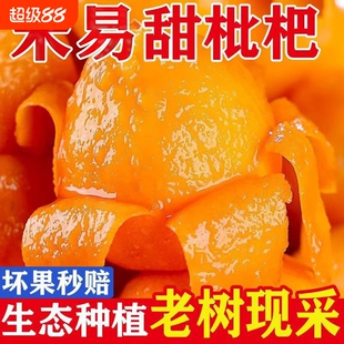 【彩箱】米易枇杷鲜果新鲜水果当季现摘枇杷果整箱包邮大五星枇杷