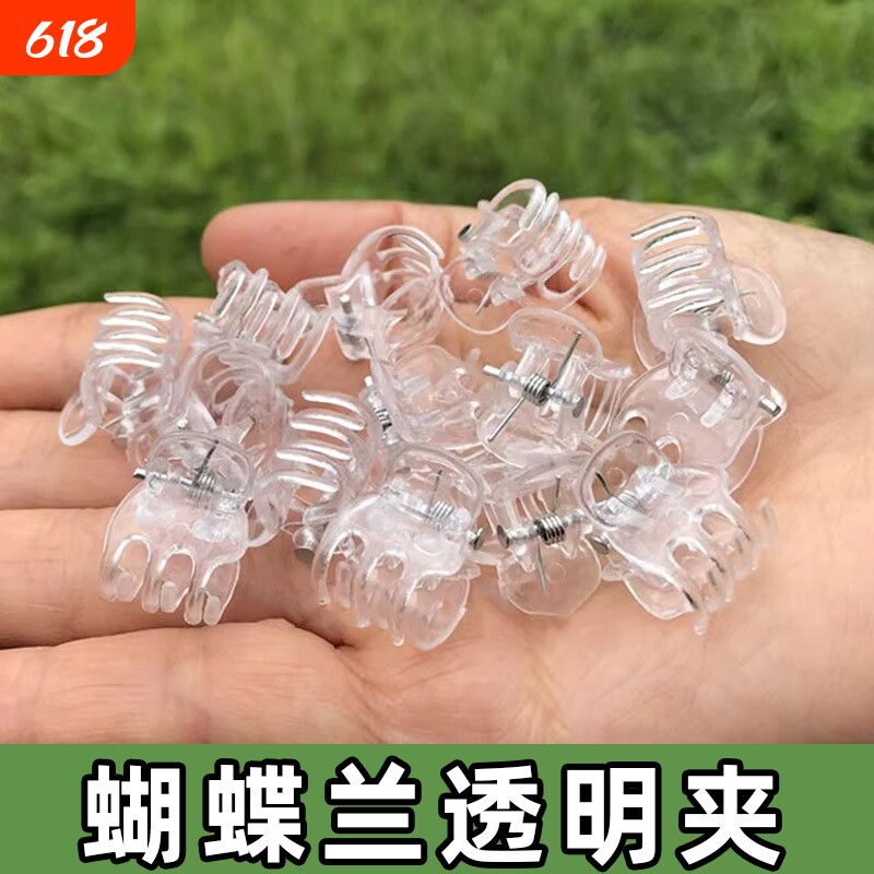 透明蝴蝶兰专用夹子月季花花透明色园艺铁线莲固定枝杆植物绿植