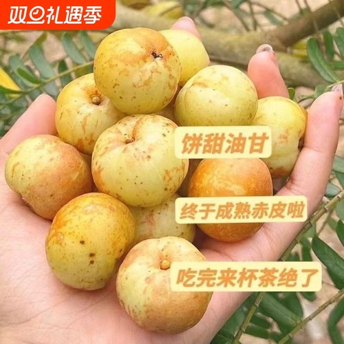 广东潮州高山油柑新鲜甜种余甘孕妇水果当季水果油甘新奇整箱采摘