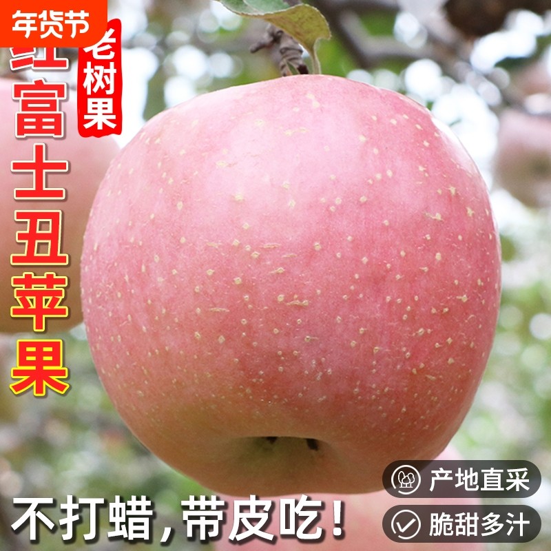 陕西红富士丑苹果水果新鲜应当季一整箱脆甜冰糖心孕妇批发包邮斤