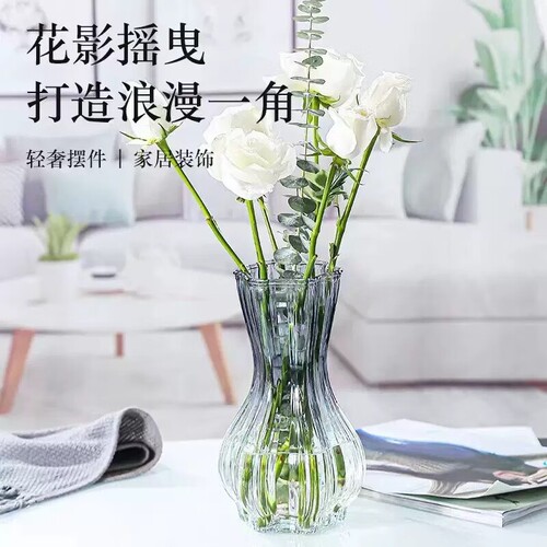 玻璃花瓶透明插花水养百合鲜花水培绿萝绿植干花小号客厅摆件轻奢