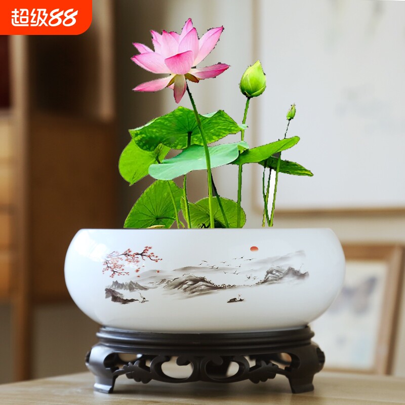 水仙大号花盆陶瓷铜钱草水培睡莲碗莲金钱草盆缸大莲花托盘陶土
