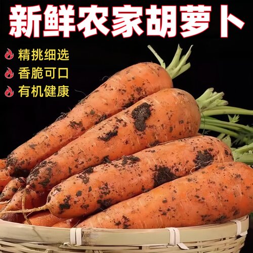 沙地新鲜蔬菜水果农家自种现挖带泥胡萝卜新鲜红萝卜脆甜营养健康