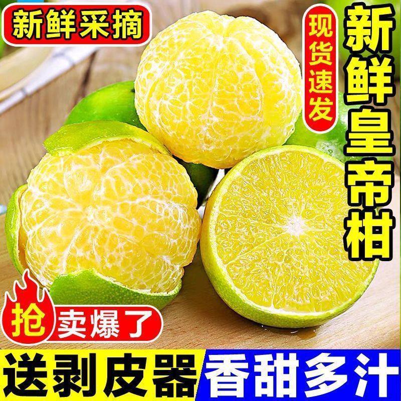 正宗现摘皇帝柑广西新鲜水果新货正宗贡柑5斤装大果,水产肉类/新鲜蔬果/熟食,桔子,淘宝优惠券,粉丝福利购,淘宝优惠卷