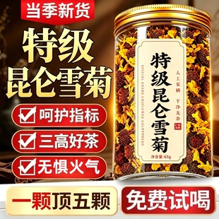 昆仑天山雪菊新疆特产去火解清热三高好茶野胎菊花排中药材养生茶