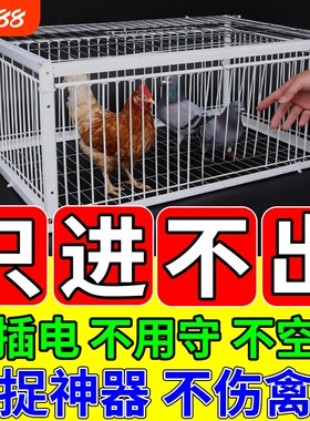 天落笼捕天落神器只进不出收鸽器户外加密粗防锈自动连续进鸽子笼