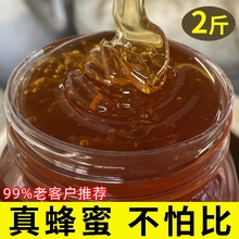 500g/1kg百花蜂蜜深山土蜂蜜纯正瓶装农家自产天然蜜源野生宗正品