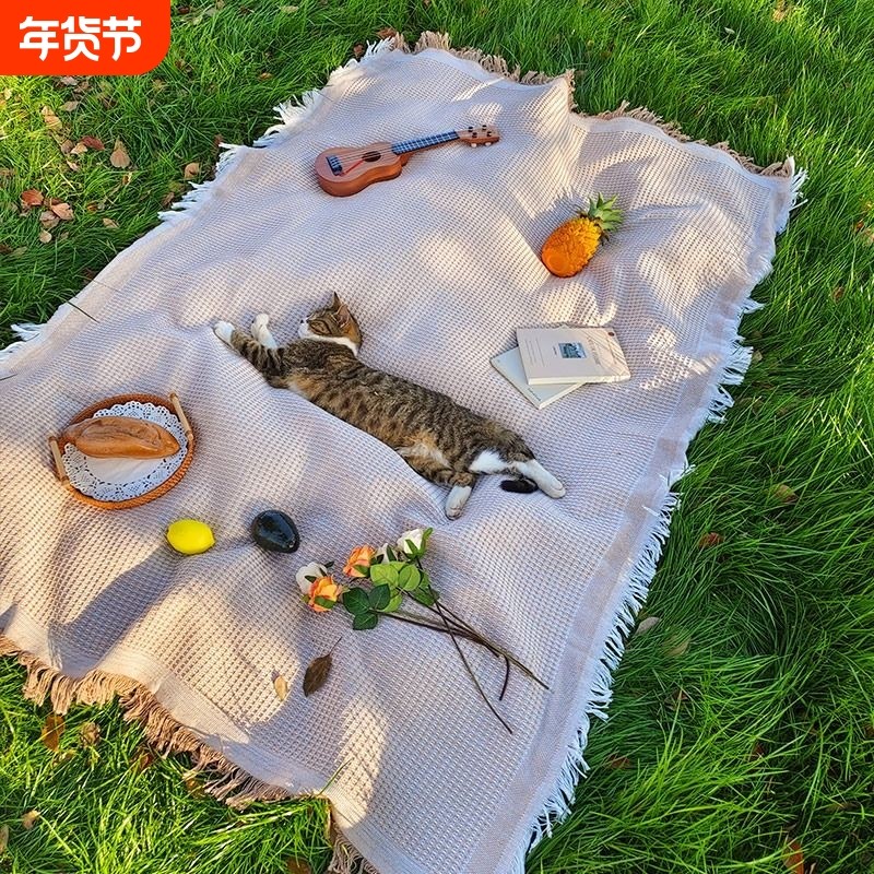 春日野餐垫防潮垫野餐布户外露营白色毯子沙滩垫帐篷公园地垫法式