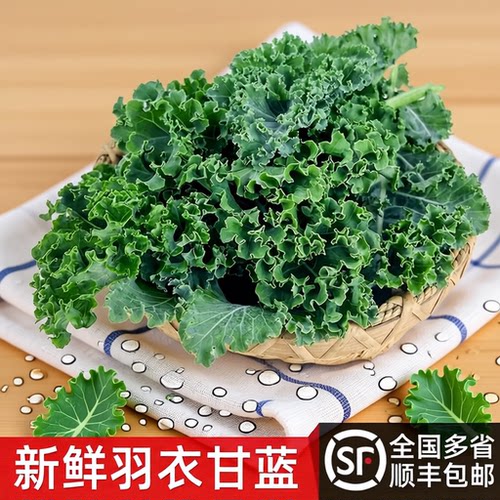 顺丰包邮羽衣甘蓝蔬菜新鲜西餐沙拉低脂健身轻食即食榨汁