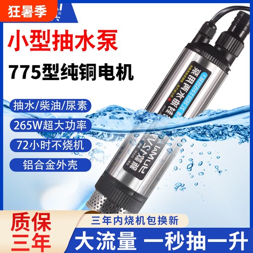 265w小型电动抽水泵神器12v直流大功率家用220v潜水泵大流量24伏
