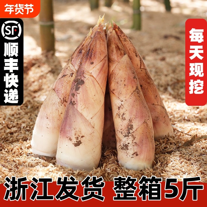 顺丰包邮浙江发货雷竹笋新鲜当季冬笋当天现挖现发鲜嫩鲜甜竹笋
